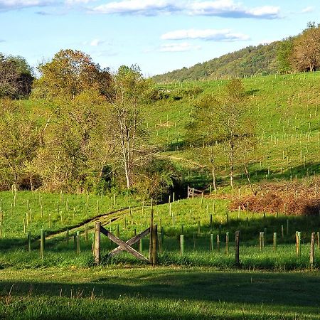 Walnut Run Farm Villa Woodville Buitenkant foto