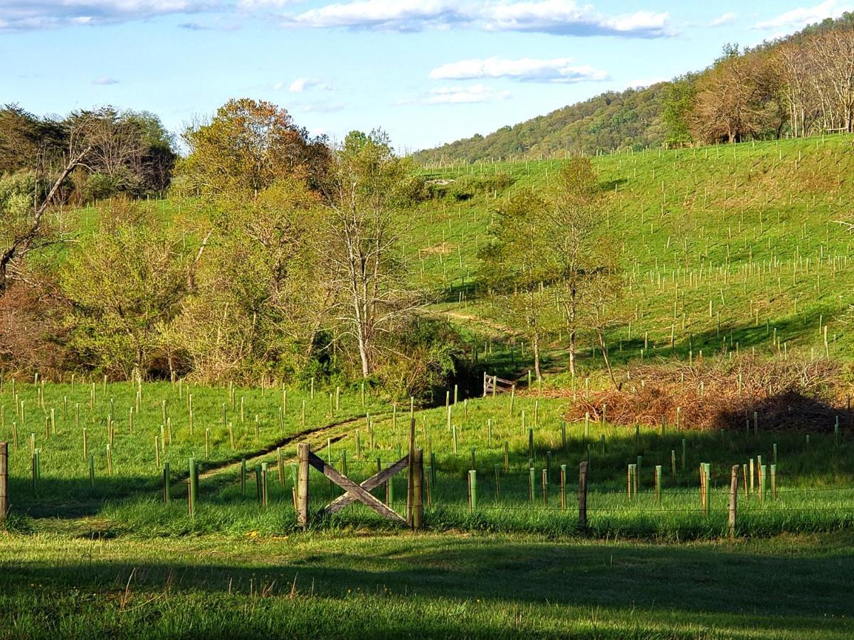 Walnut Run Farm Villa Woodville Buitenkant foto