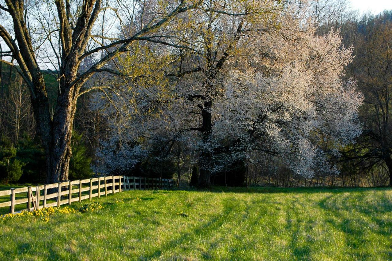 Walnut Run Farm Villa Woodville Buitenkant foto