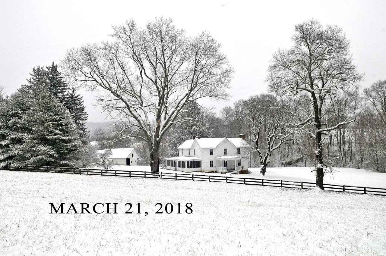 Walnut Run Farm Villa Woodville Buitenkant foto